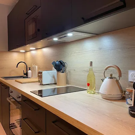 Grand Cosy 10-12 Pers Ax Thermes Centre Terrasse Parking Апартаменты