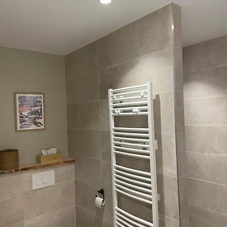 Grand Cosy 10-12 Pers Ax Thermes Centre Terrasse Parking * Ax-les-Thermes