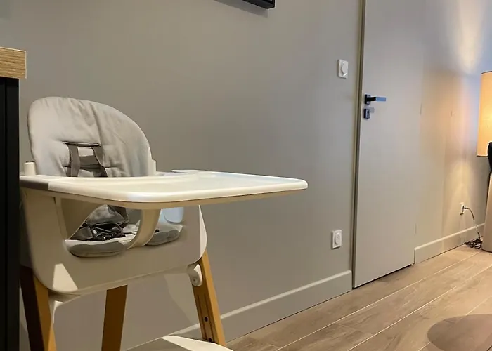 Grand Cosy 10-12 Pers Ax Thermes Centre Terrasse Parking * アクス・レ・テルム