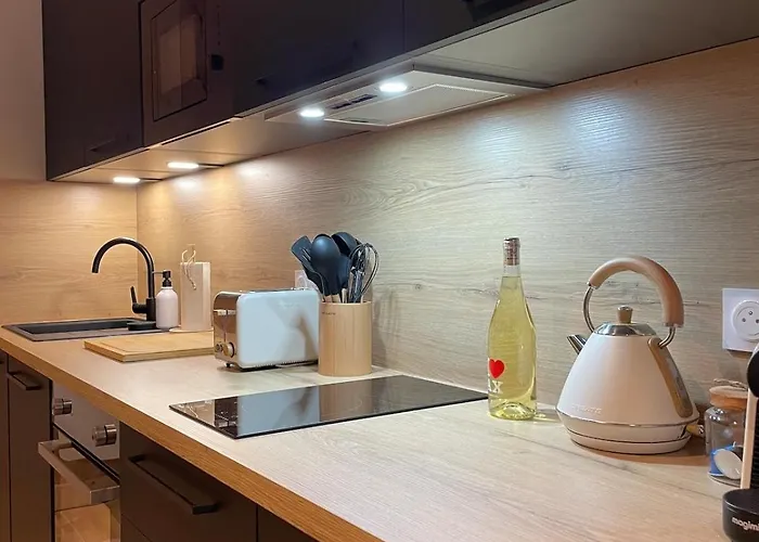 Grand Cosy 10-12 Pers Ax Thermes Centre Terrasse Parking アパート