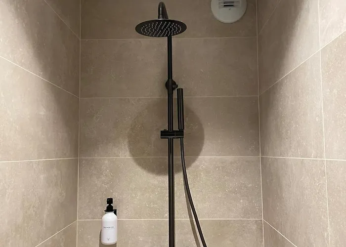 Grand Cosy 10-12 Pers Ax Thermes Centre Terrasse Parking アパート アクス・レ・テルム